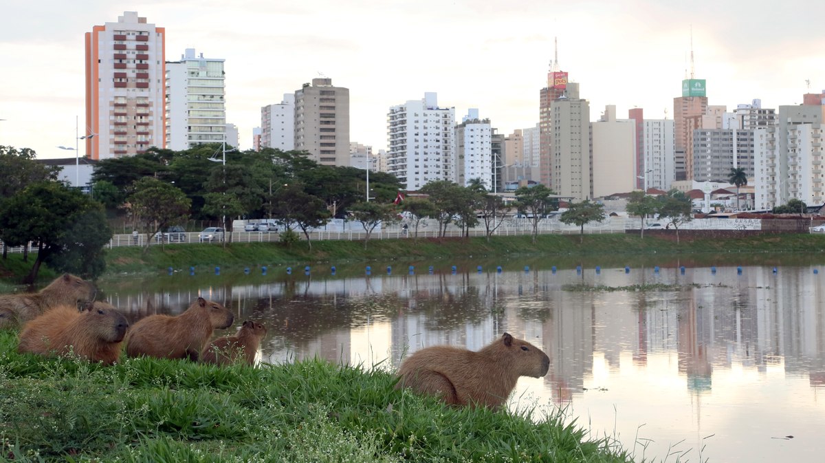 As 10 Melhores Agências de Marketing Digital em São José do Rio Preto -SP 1 Melhores Agências de Marketing Digital em São José do Rio Preto -SP